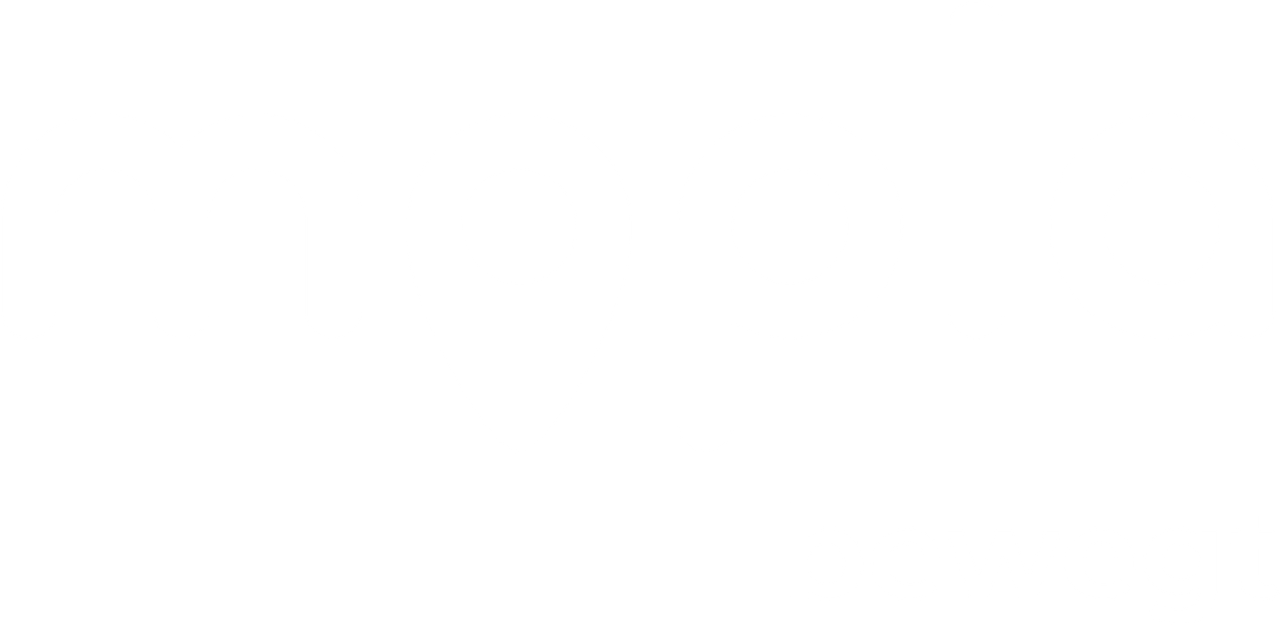 Logo Mopla