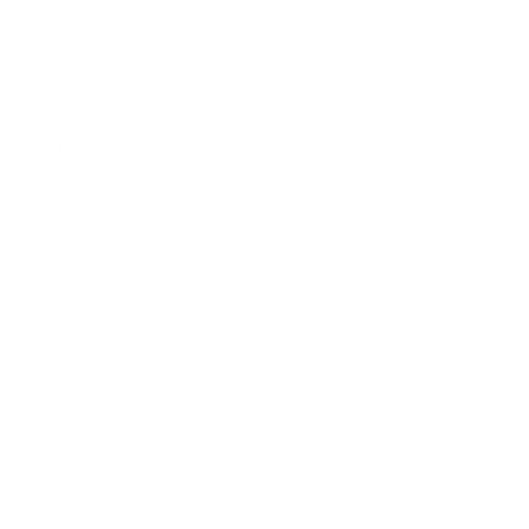 Logo LIDL copy